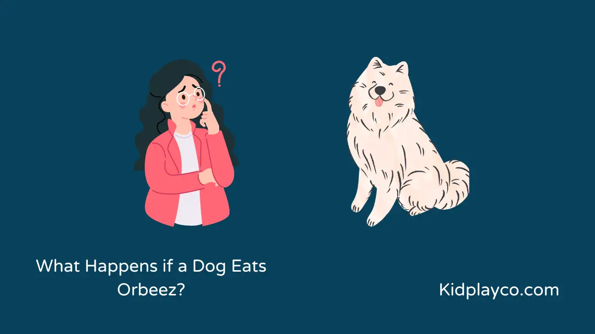 What Happens if a Dog Eats Orbeez? (And What to Do)