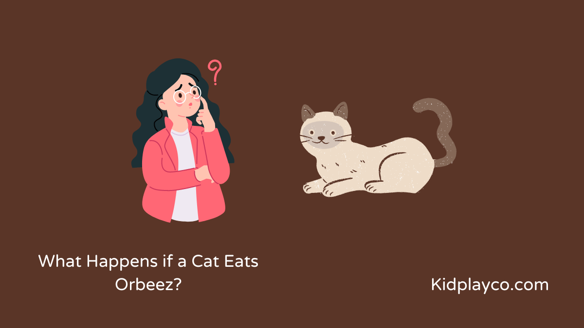 What Happens if a Cat Eats Orbeez?