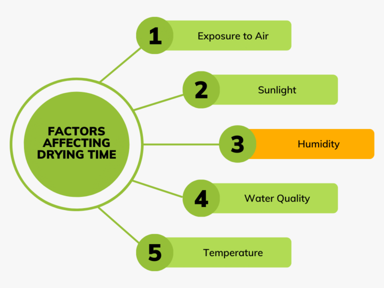 Do Orbeez Dry Out and Shrink to Their Original Size?