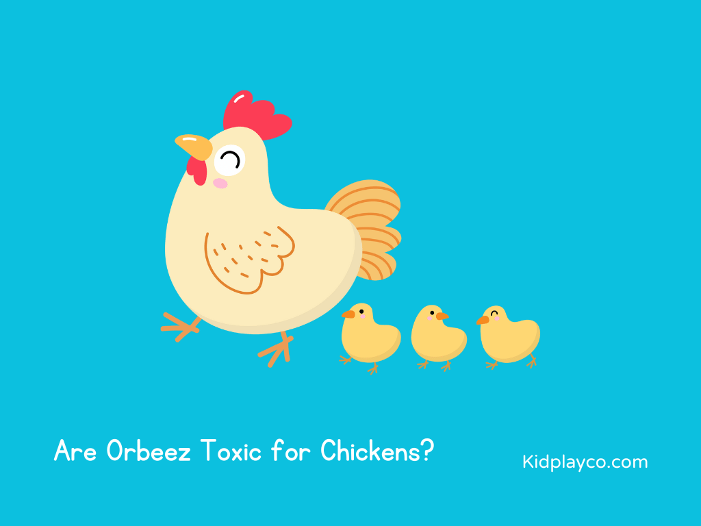 Are Orbeez Toxic for Chickens?