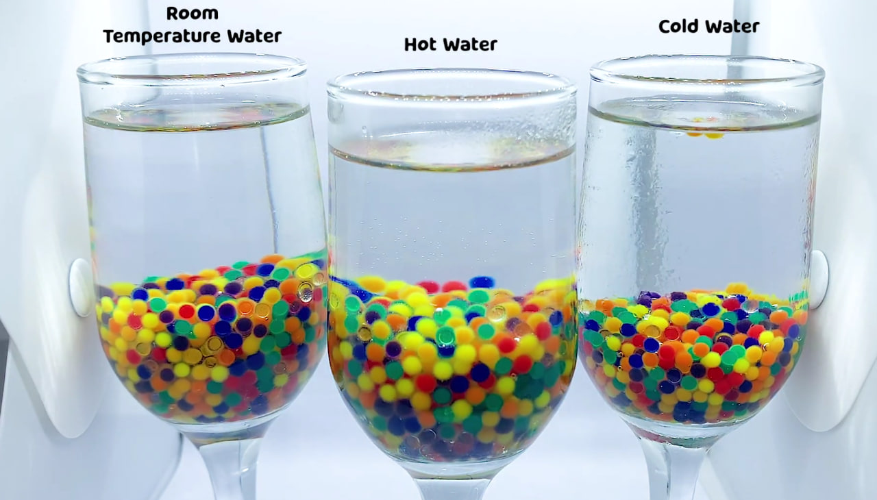 Do Orbeez Grow Faster in Hot Water? Answer is here